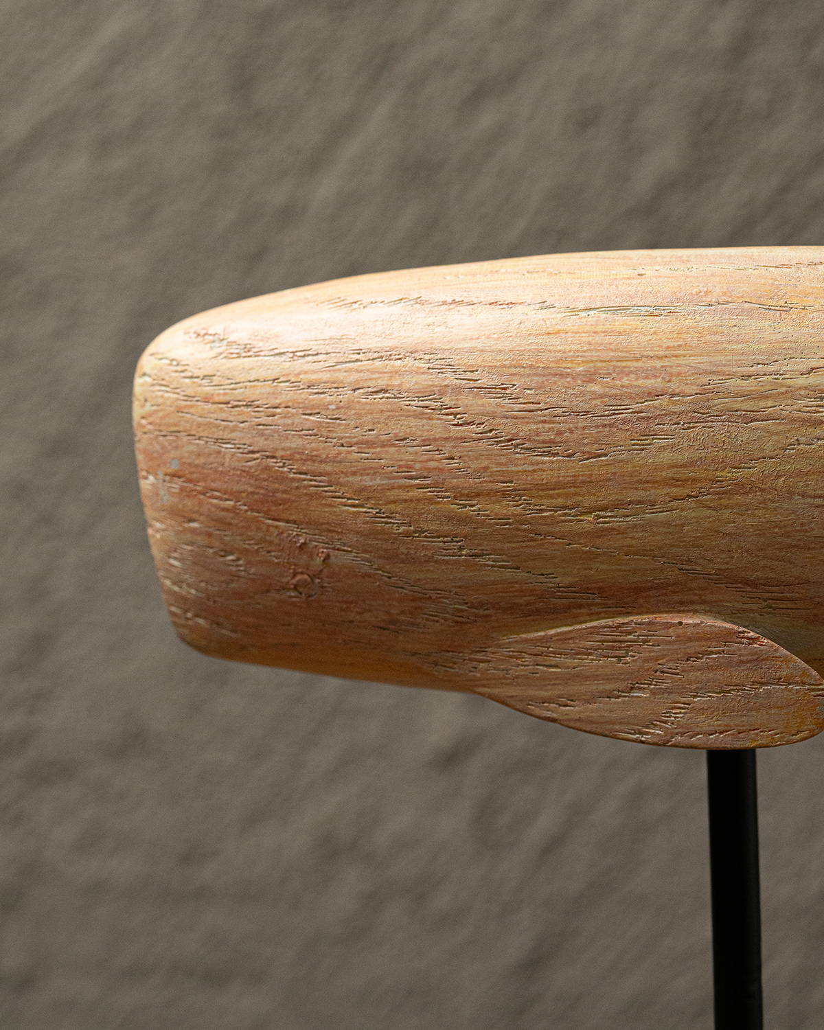 Ballena Náutica Grande