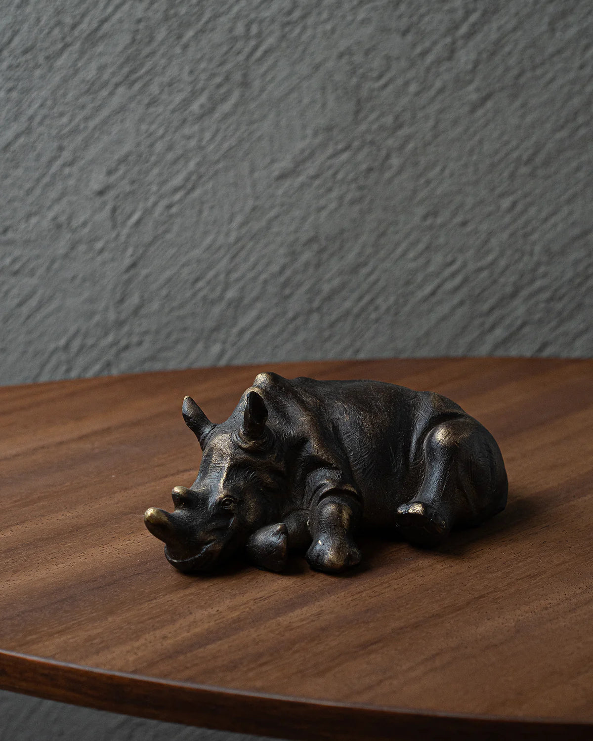 Rinoceronte Sleeping