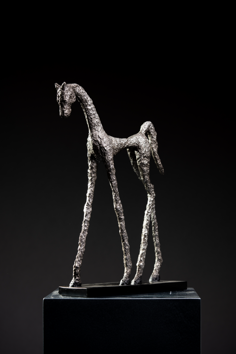 Caballo abstracto II