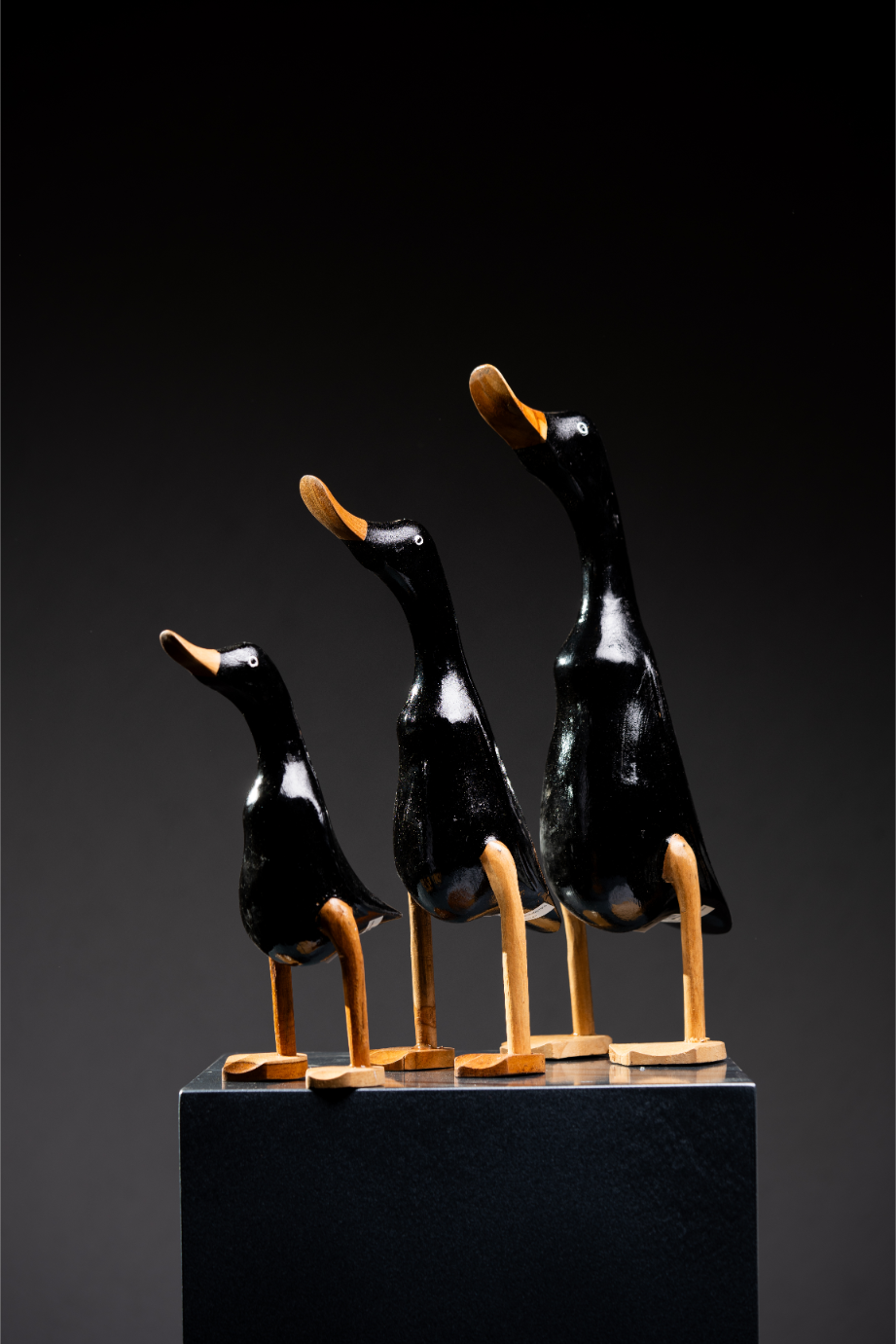 Set de Patos negros