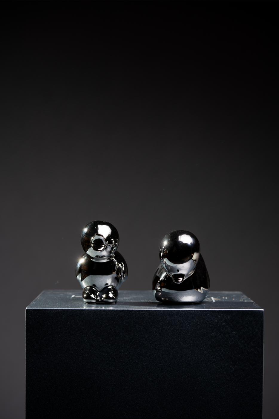 Set de Patos plata