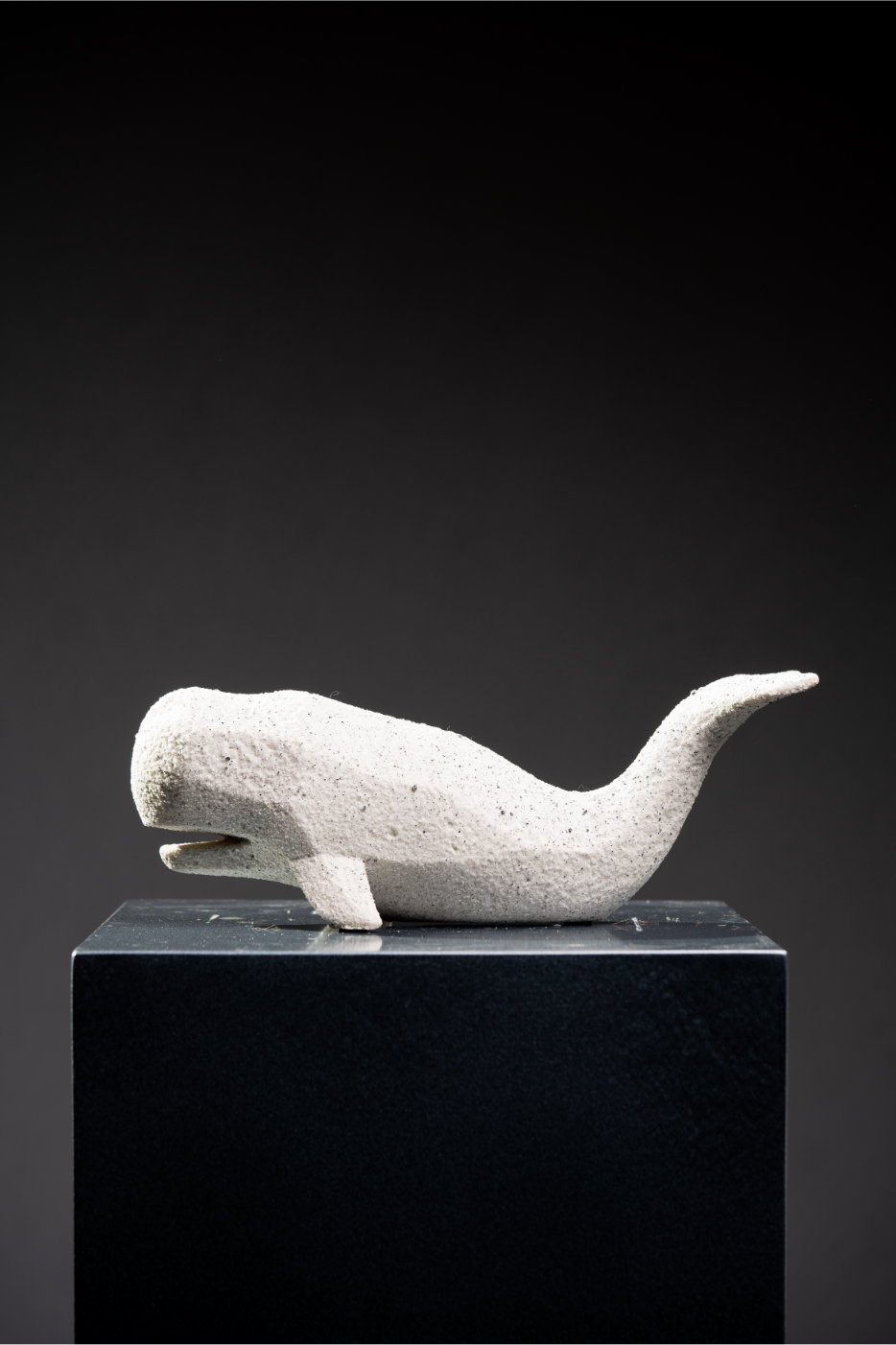 Ballena Telma grande