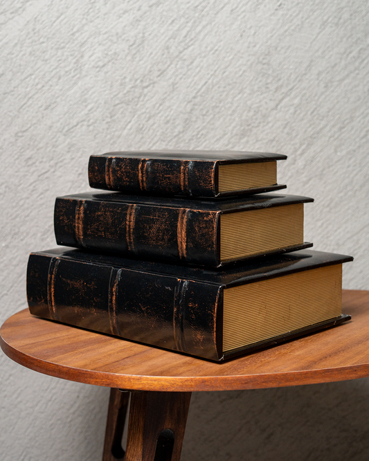 Set de Libros tipo piel