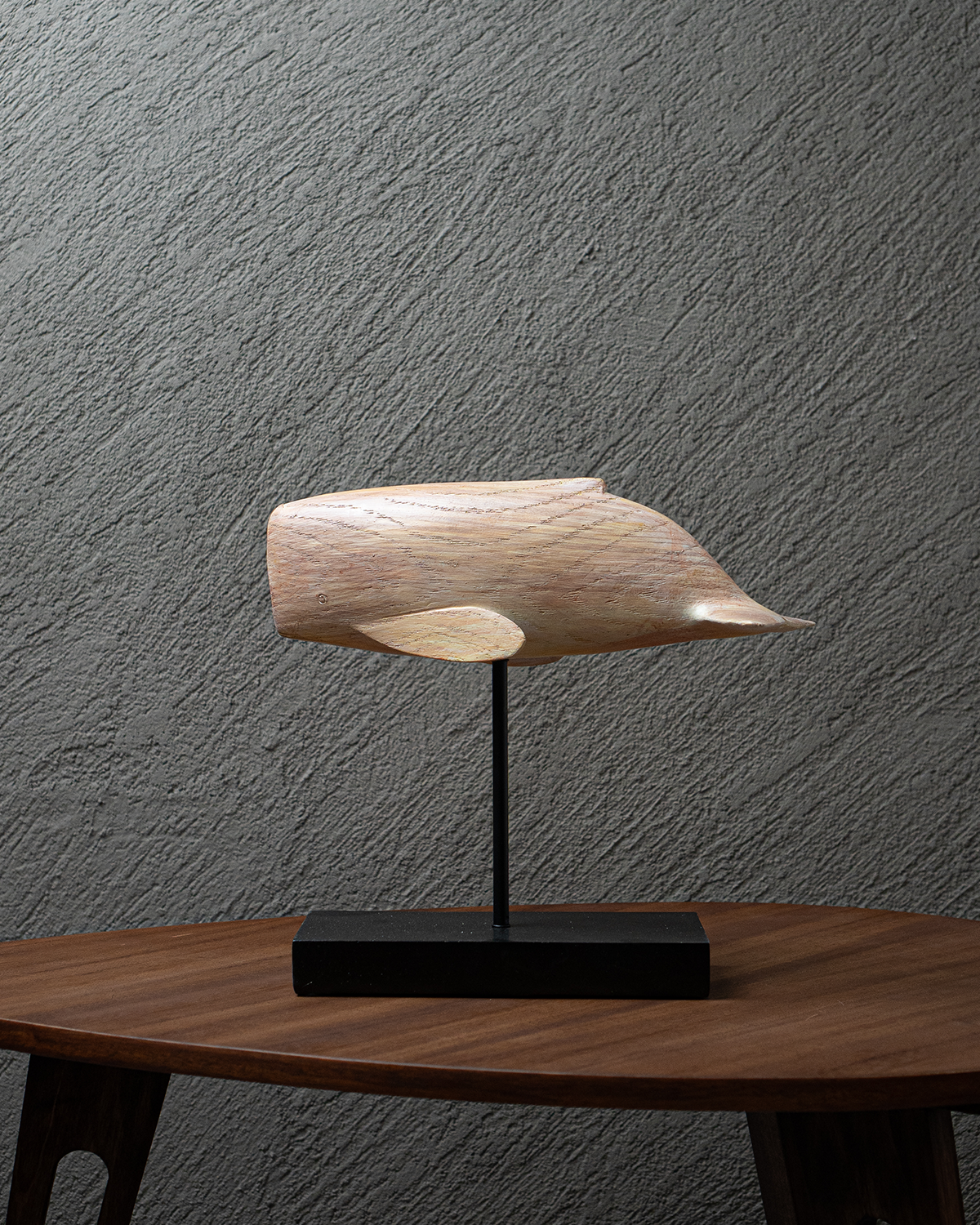 Ballena Náutica Chica