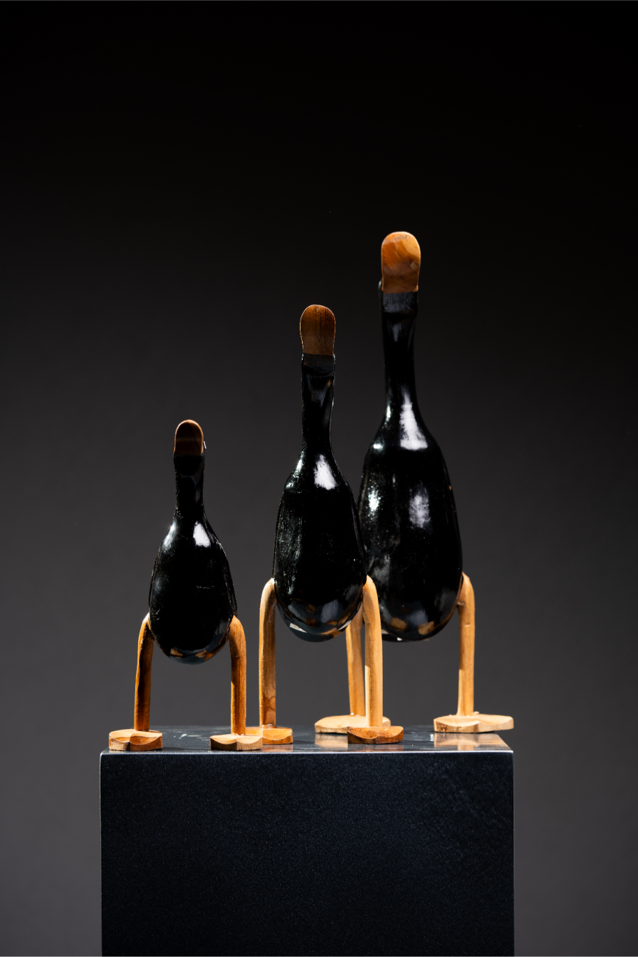 Set de Patos negros