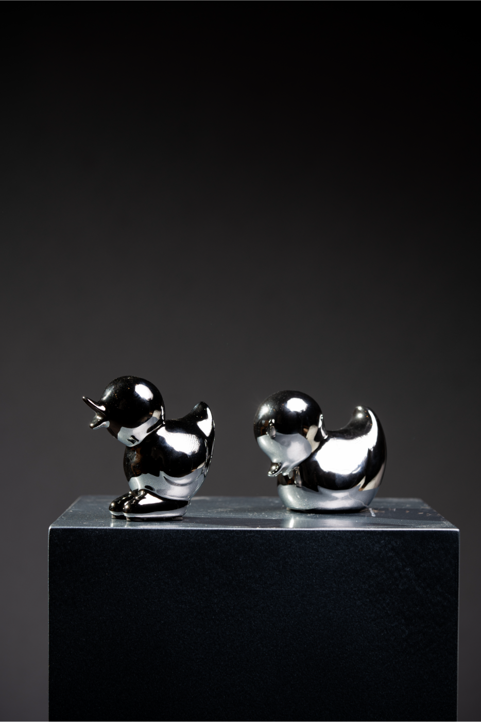 Set de Patos plata