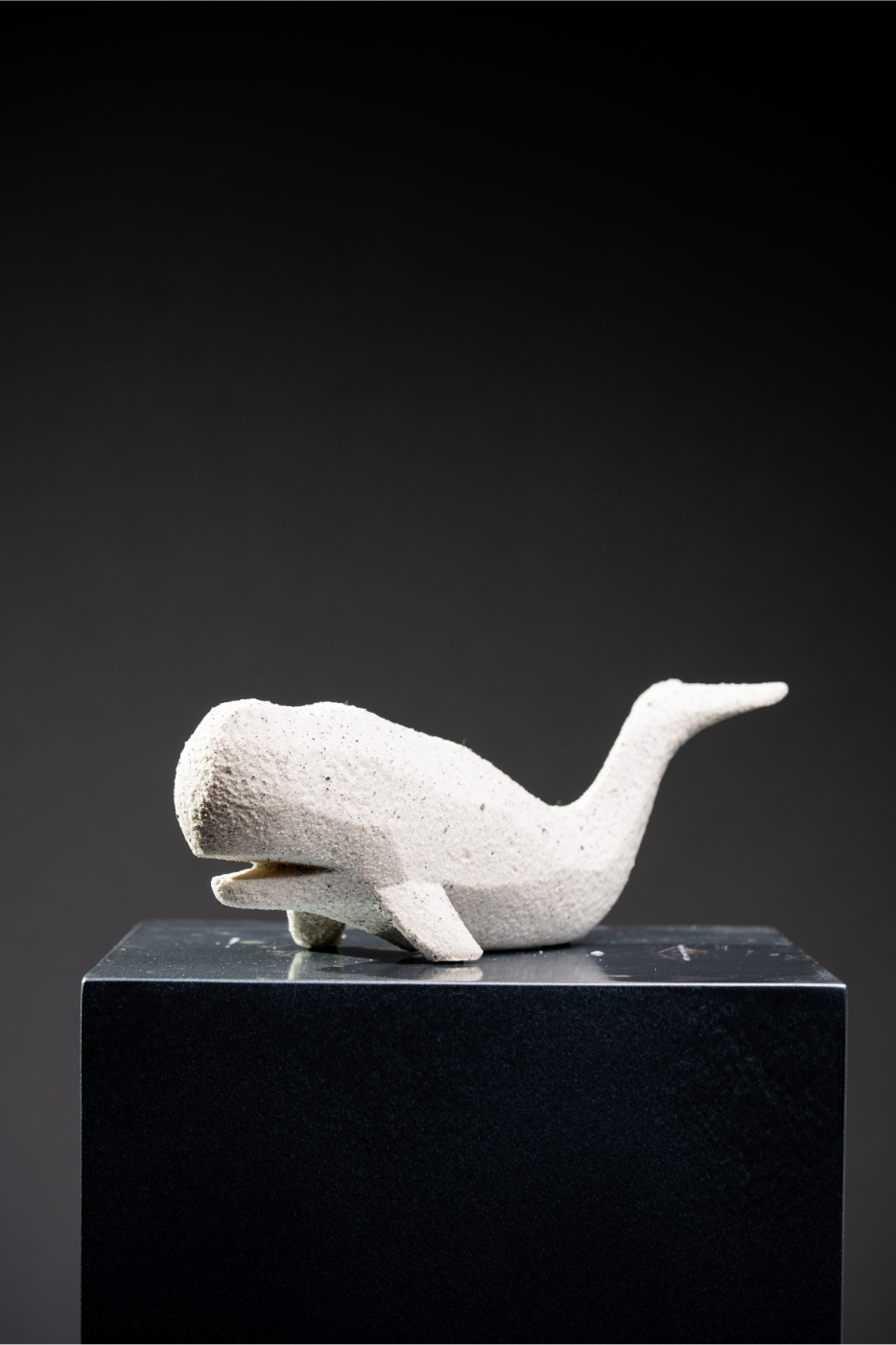 Ballena Telma grande