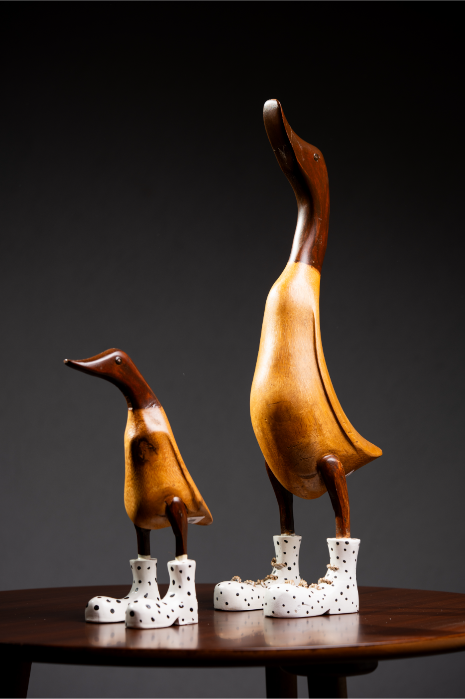 Set de Patos con zapato