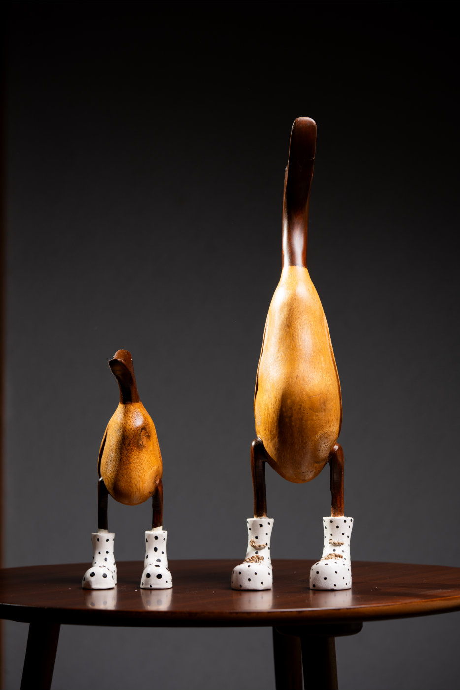 Set de Patos con zapato