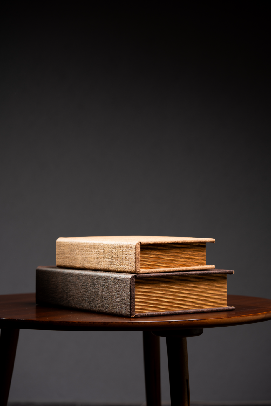 Set de libros lila y café