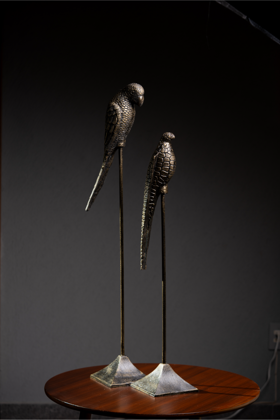 Set de 2 Pájaros