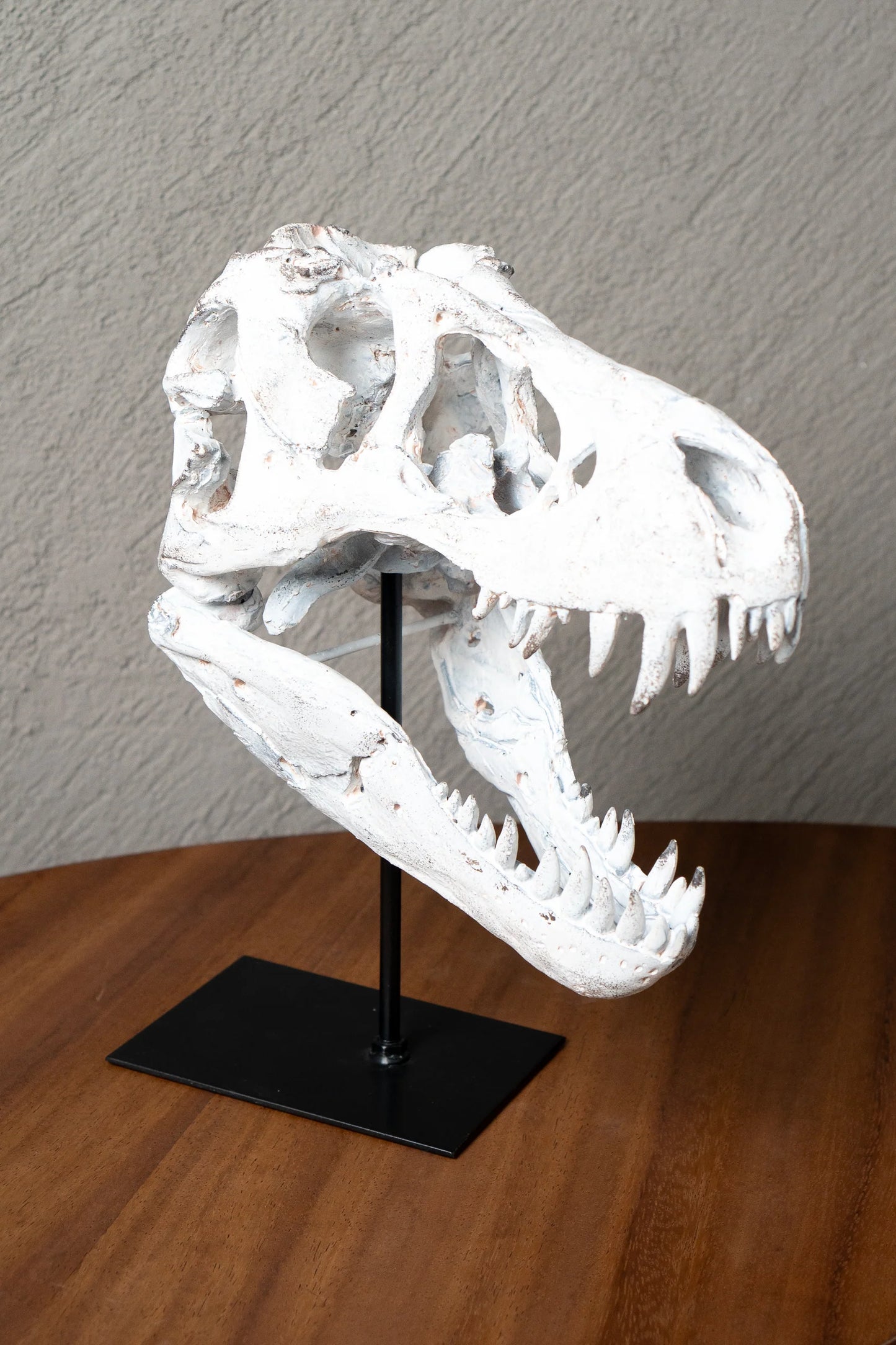 Esqueleto de Dinosaurio