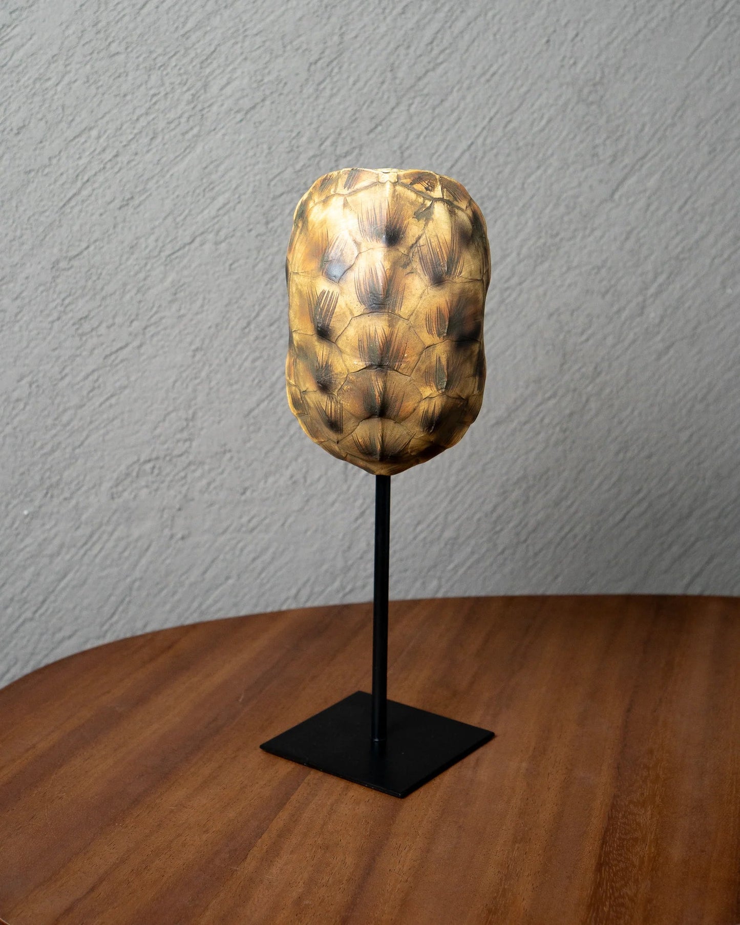 Réplica caparazón de tortuga