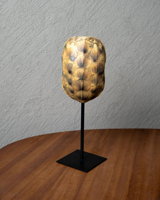 Réplica caparazón de tortuga