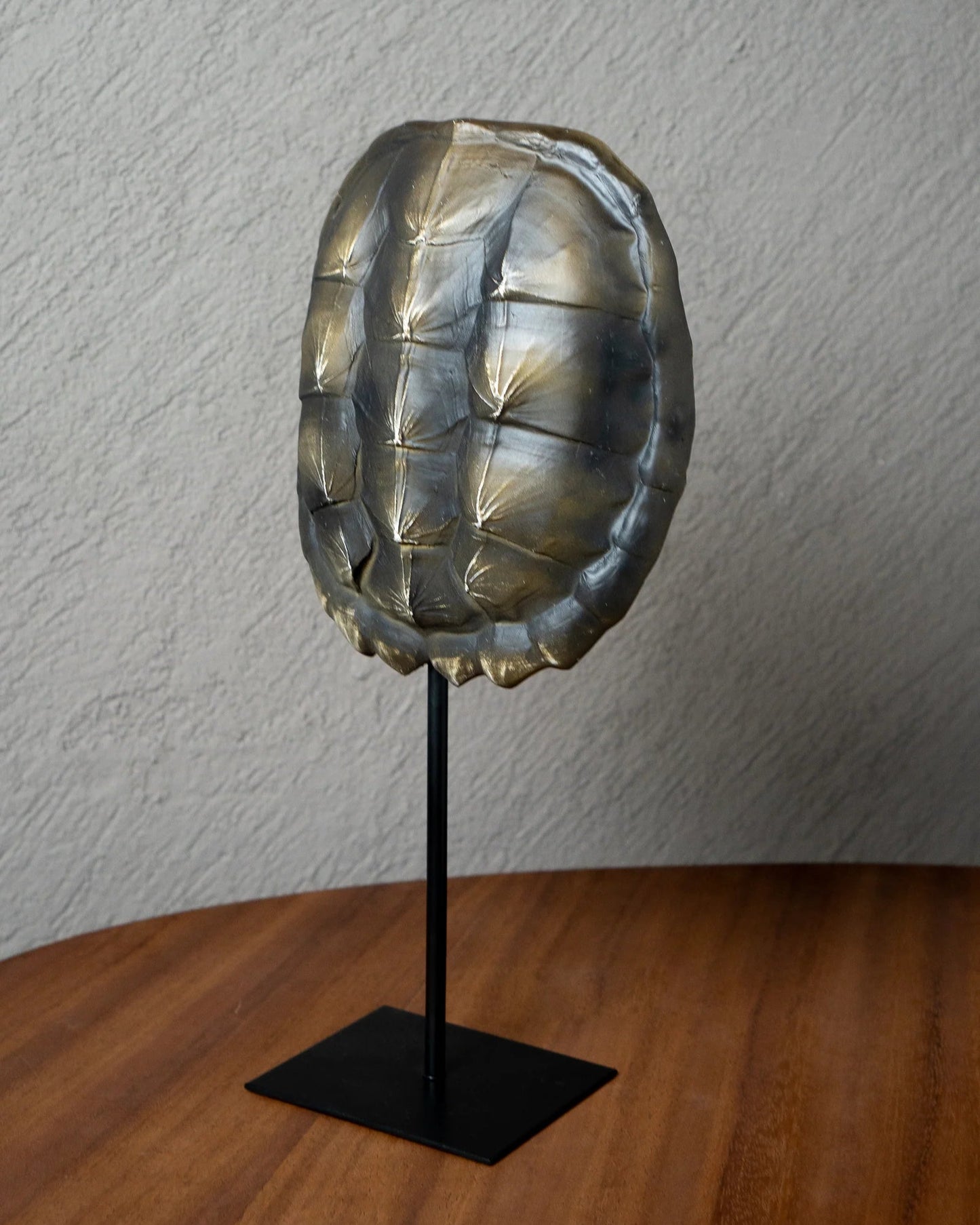 Réplica de caparazón de Tortuga Negro