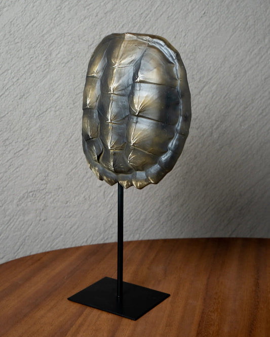 Réplica de caparazón de Tortuga Negro