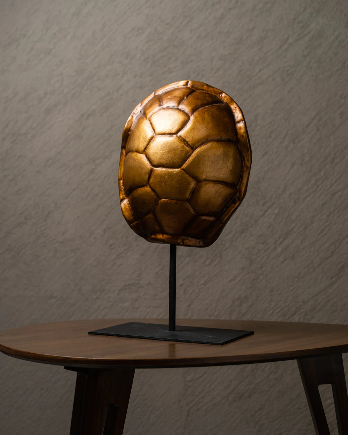 Réplica de caparazón de tortuga café